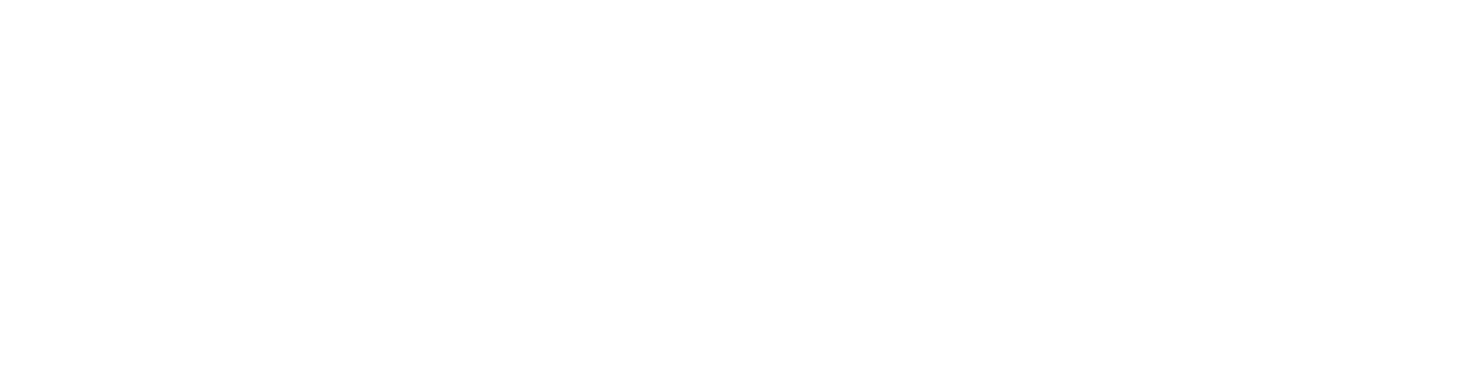 Sofi’s Plan